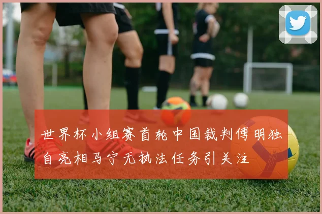 世界杯小组赛首轮中国裁判傅明独自亮相马宁无执法任务引关注