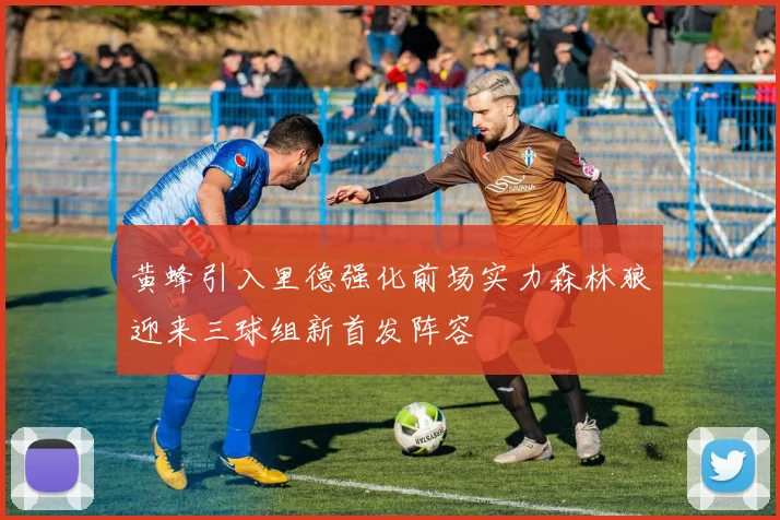 黄蜂引入里德强化前场实力森林狼迎来三球组新首发阵容