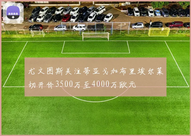 尤文图斯关注蒂亚戈加布里埃尔莱切开价3500万至4000万欧元