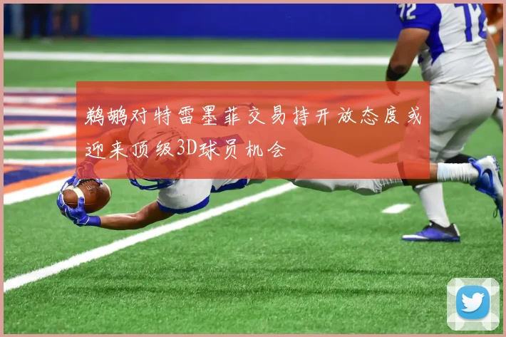 鹈鹕对特雷墨菲交易持开放态度或迎来顶级3D球员机会